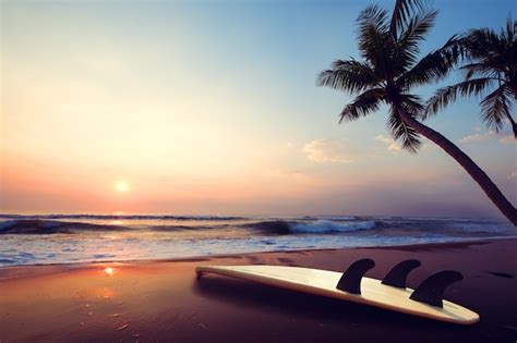 Premium Photo | Silhouette surfboard on tropical beach at sunset in summer. landscape of summer ...