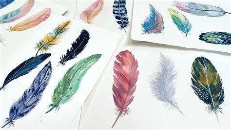 How to paint feathers in watercolor – practice feathers | Diane Antone Studio