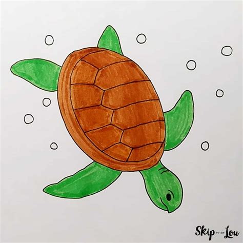 turtle drawing easy with colour - Kylee Becerra