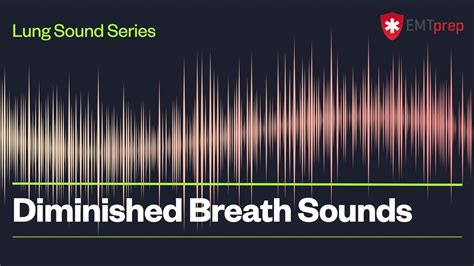 Diminished Breath Sounds - EMTprep.com - YouTube