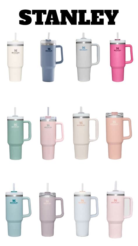 Stanley cups in 2023 | Trendy water bottles, Cute cups, Cute coffee cups