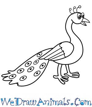 How To Draw A Peacock Step By Step Easy / I've decided to offer you 2 different ways of star ...