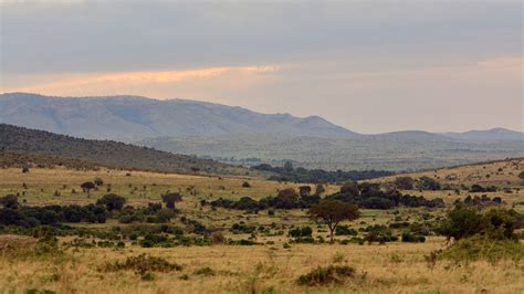 Sunrise in Maasai Mara National Reserve, Kenya