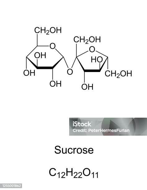 Sukrosa Gula Umum Struktur Kimia Dan Formula Ilustrasi Stok - Unduh Gambar Sekarang - Molekul ...