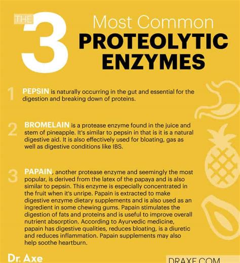 Proteolytic Enzymes Benefits, Sources, Supplements and More - Dr. Axe