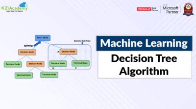 Introduction To Decision Tree Algorithm