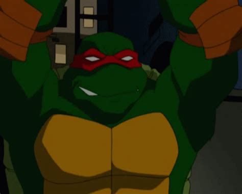 Tmnt 2003 GIF - Tmnt 2003 Raph - Discover & Share GIFs