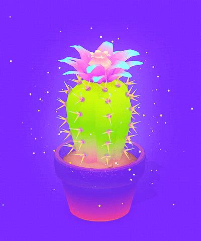 Cactus GIF by Michael Shillingburg - Find & Share on GIPHY