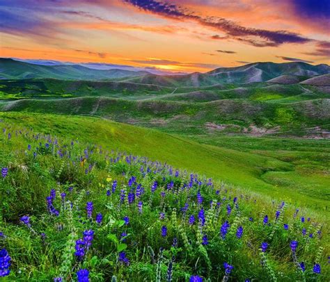 Dublin Hills Regional Open Space Preserve | East Bay Parks