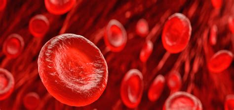 Red Blood Cells: What Do They Do? - Healthy Directions