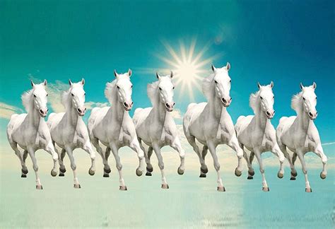 7 Horses Wallpapers - Top Free 7 Horses Backgrounds - WallpaperAccess