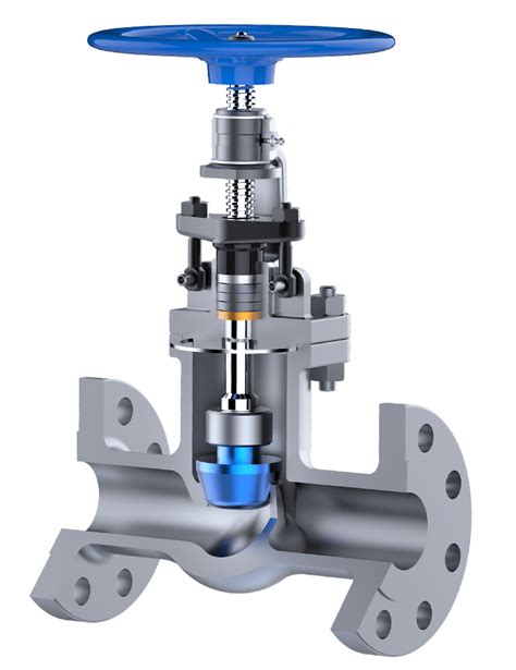 Introduction to Globe Valves - Types and Applications