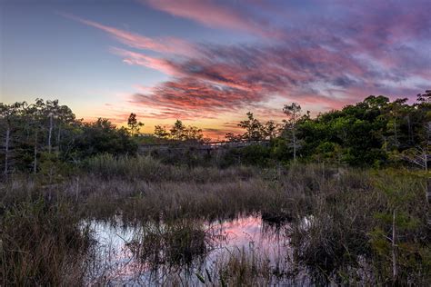 Top Activities in Everglades National Park