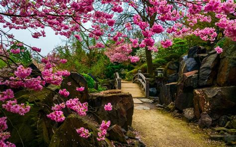 Fantasy Garden Wallpaper Hd Download Of Beautiful Garden - Japanese Garden Wallpaper Hd (#119057 ...