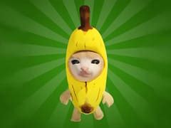 Banana Cat Escape - Play Banana Cat Escape Online - BestGames.Com