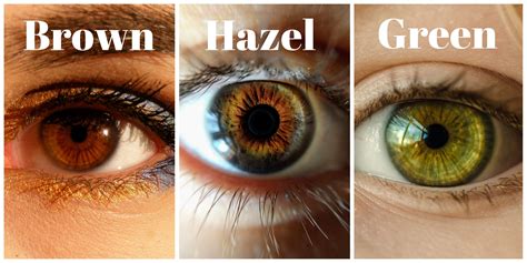 The What Is The Best Color To Wear With Hazel Eyes With Simple Style - Best Wedding Hair for ...