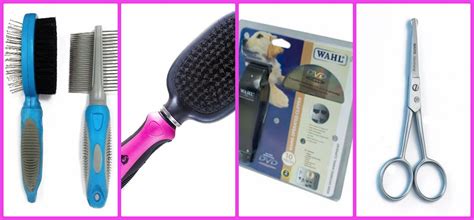 tools for grooming dogs at home | Caring for a Senior Dog