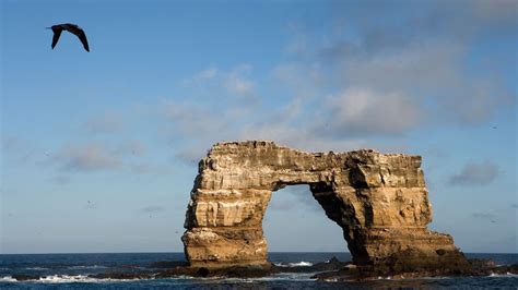 Iconic 'Darwin's Arch' in the Galapagos has crashed into the sea | Live Science