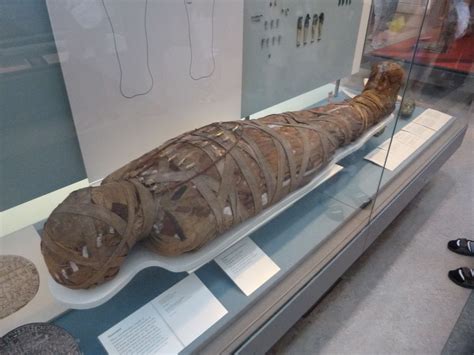 Ancient Egypt Mummies British Museum