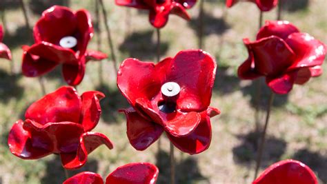 Tower of London commemorates WWI with over 800K poppies