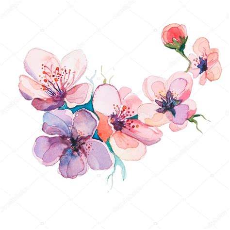 The spring flowers watercolor isolated — Stock Photo © lauralis #65344681