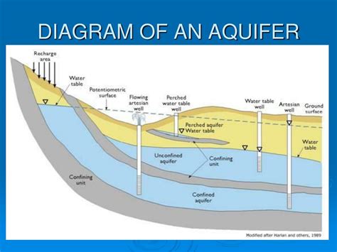 Water Table Aquifer Diagram