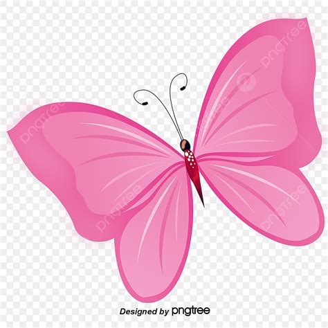 Butterfly Clipart Png Images Animals