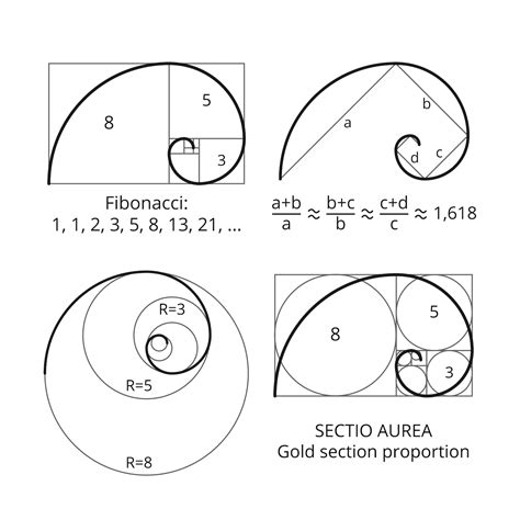 What is the fibonacci sequence in nature - tolfnepal