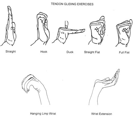 Ulnar Nerve Gliding Exercises Cubital Tunnel – Online degrees