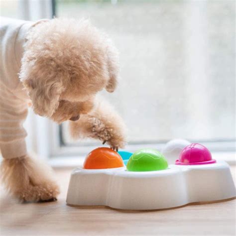 The 15 Best Dog Puzzle Toys | POPSUGAR Pets