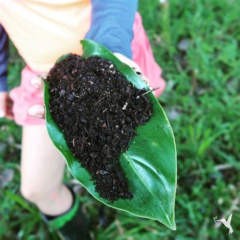 Sustainable Farming Techniques for Everyone - Producers Stories