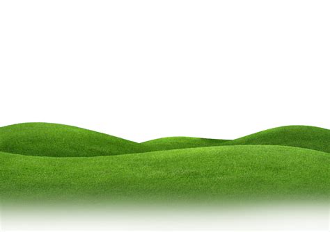 Grassland PNG HD Image - PNG All | PNG All