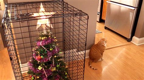 How To Protect a Christmas Tree From Curious Cats