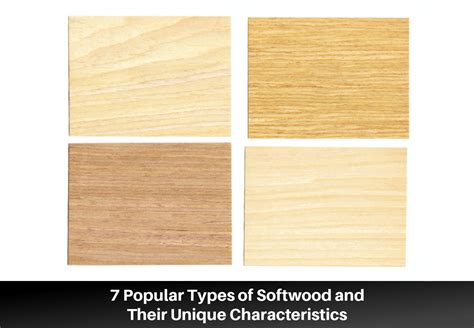 7 Popular Types of Softwood and Their Unique Characteristics