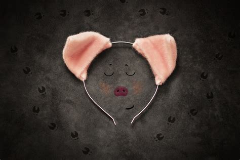 Pig Ears Headband Pig Costume Piggy Ears Cosplay Pink Ears Cat Ears Pink Faux Fur Adult Toys Pet ...