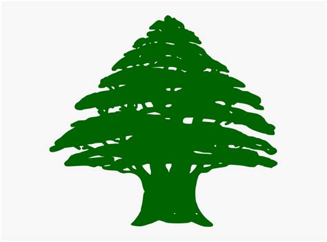 Cedar Tree Lebanon Flag, HD Png Download , Transparent Png Image - PNGitem