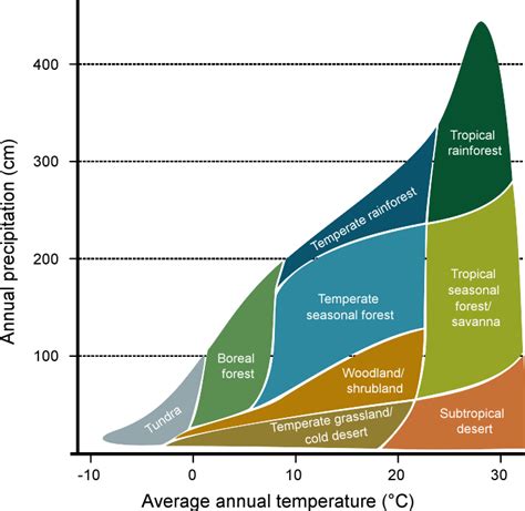 Desert Biome Climate