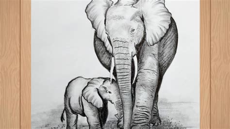 How To Draw A Realistic Baby Elephant