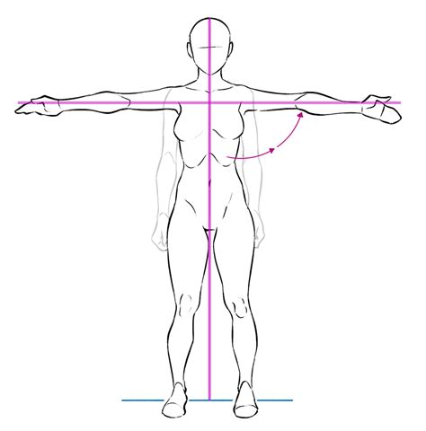 Dincolo Grava Mult noroc human body anatomy drawing Psihologic Diacritic zi de nastere