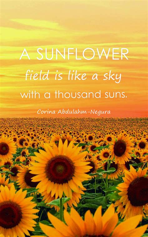 23 Beautiful Sunflower Quotes with Images