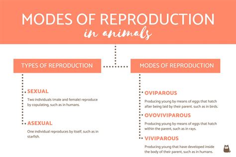 Modes of Reproduction in Animals - Viviparity, Oviparity and Ovoviviparity Examples