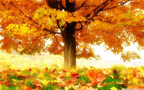 Anime Autumn Wallpapers - Top Free Anime Autumn Backgrounds - WallpaperAccess