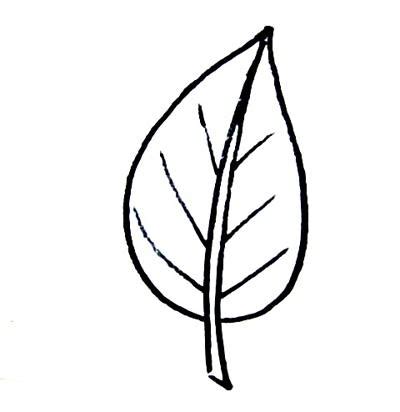 Leaves Drawing Simple - ClipArt Best