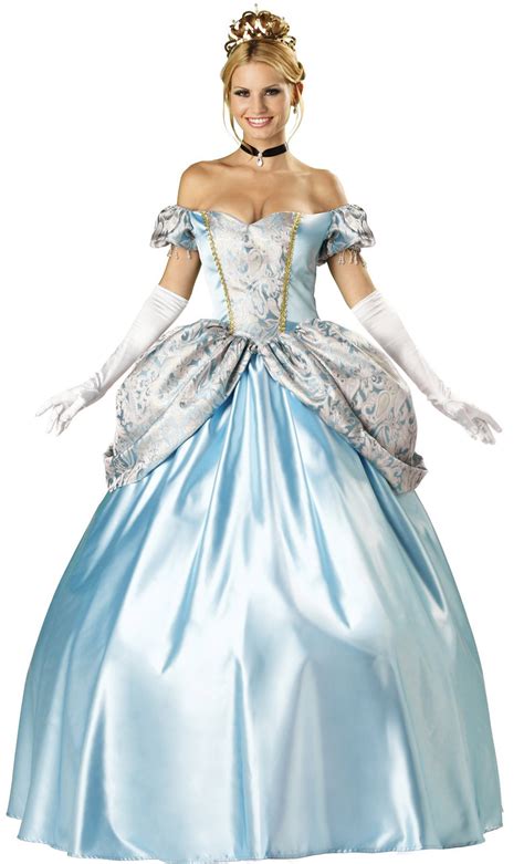 Enchanting Princess Adult Costume - Mr. Costumes