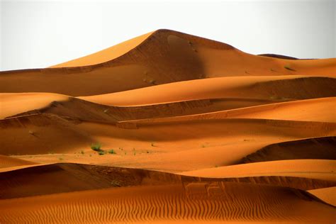 Free photo: Egypt Desert - Arid, Nature, Sky - Free Download - Jooinn