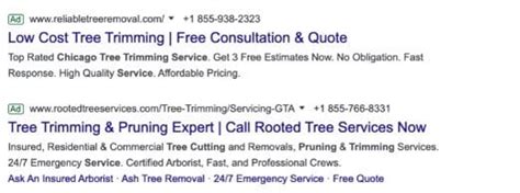 The Best Tree Service Advertising Ideas for Your Business