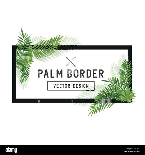 Tropical Palm Leaf Border Vector. Summer Palm tree leaves around a border. Vector illustration ...