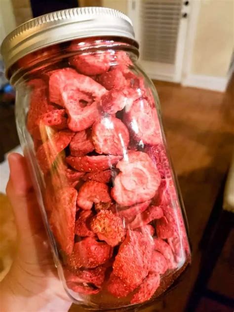 How to Make Freeze Dried Strawberries (& How to Use Them) - Freeze Dry Foodie