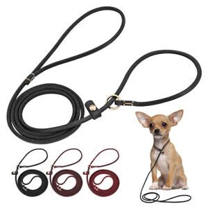 Genuine Leather Dog Show Slip Leash Puppy Small Dog P Leash Choke Training Lead | eBay