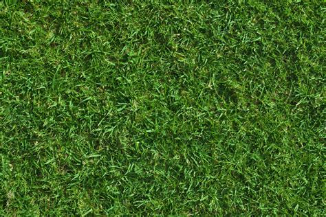 HIGH RESOLUTION TEXTURES: Green lush grass texture